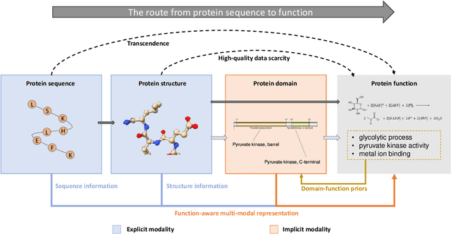 Figure 1 for ProtFAD: Introducing function-aware domains as implicit modality towards protein function perception