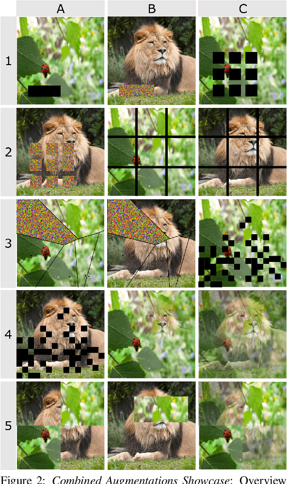 Figure 2 for VoronoiPatches: Evaluating A New Data Augmentation Method