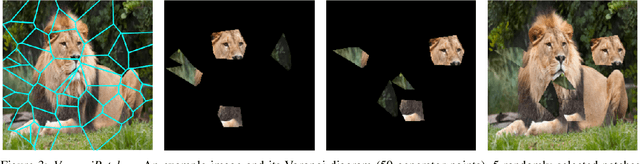 Figure 3 for VoronoiPatches: Evaluating A New Data Augmentation Method