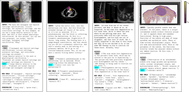 Figure 1 for MedicalNarratives: Connecting Medical Vision and Language with Localized Narratives