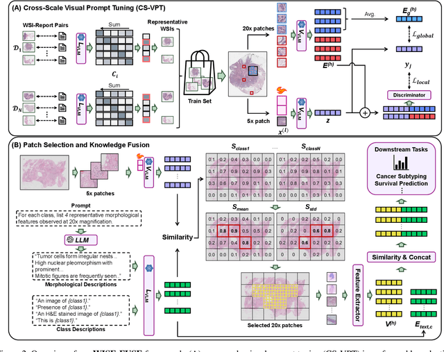Figure 3 for WISE-FUSE: Efficient Whole Slide Image Encoding via Coarse-to-Fine Patch Selection with VLM and LLM Knowledge Fusion