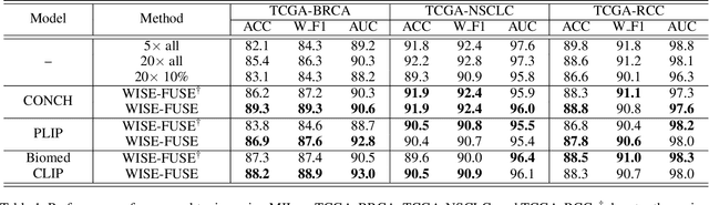 Figure 2 for WISE-FUSE: Efficient Whole Slide Image Encoding via Coarse-to-Fine Patch Selection with VLM and LLM Knowledge Fusion