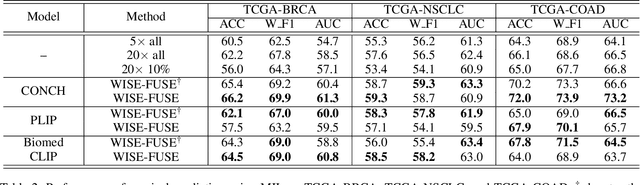 Figure 4 for WISE-FUSE: Efficient Whole Slide Image Encoding via Coarse-to-Fine Patch Selection with VLM and LLM Knowledge Fusion