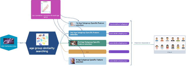 Figure 1 for iTARGET: Interpretable Tailored Age Regression for Grouped Epigenetic Traits