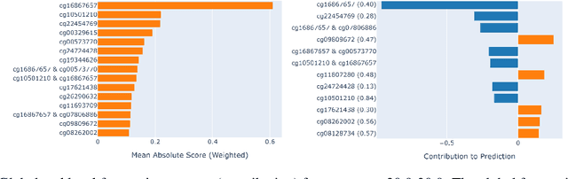 Figure 4 for iTARGET: Interpretable Tailored Age Regression for Grouped Epigenetic Traits