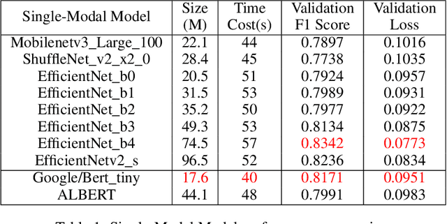 Figure 2 for Google is all you need: Semi-Supervised Transfer Learning Strategy For Light Multimodal Multi-Task Classification Model