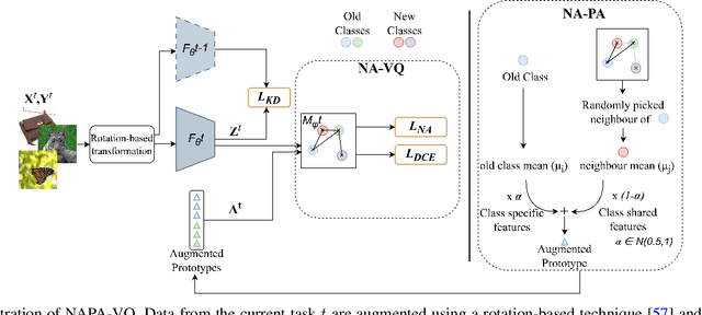 Figure 1 for NAPA-VQ: Neighborhood Aware Prototype Augmentation with Vector Quantization for Continual Learning