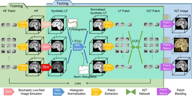 Figure 1 for Low-field magnetic resonance image enhancement via stochastic image quality transfer