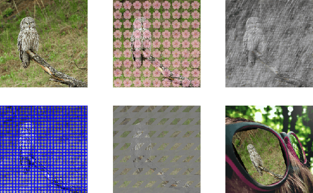 Figure 1 for Benchmarking Robustness to Adversarial Image Obfuscations