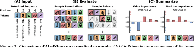 Figure 3 for OrdShap: Feature Position Importance for Sequential Black-Box Models