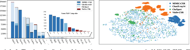 Figure 1 for UniChest: Conquer-and-Divide Pre-training for Multi-Source Chest X-Ray Classification