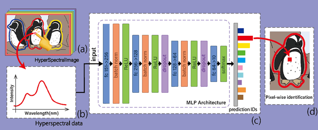 Figure 1 for Hyperspectral Image Dataset for Individual Penguin Identification