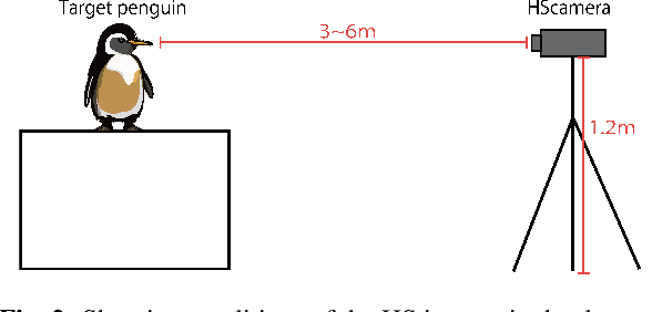 Figure 3 for Hyperspectral Image Dataset for Individual Penguin Identification