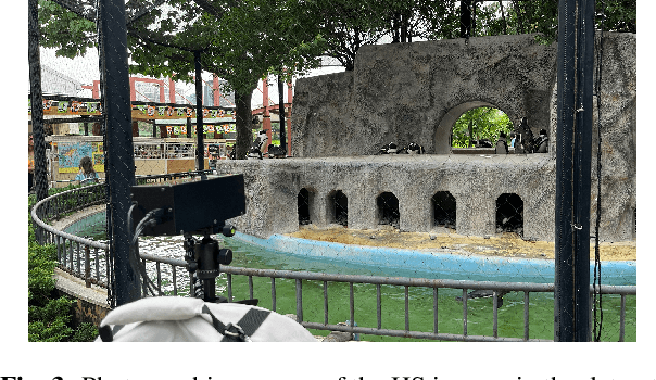 Figure 4 for Hyperspectral Image Dataset for Individual Penguin Identification