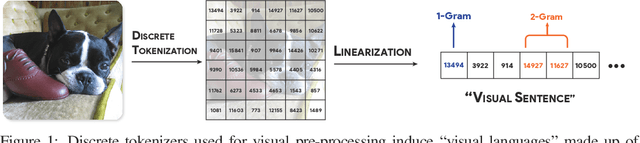 Figure 1 for Analyzing The Language of Visual Tokens