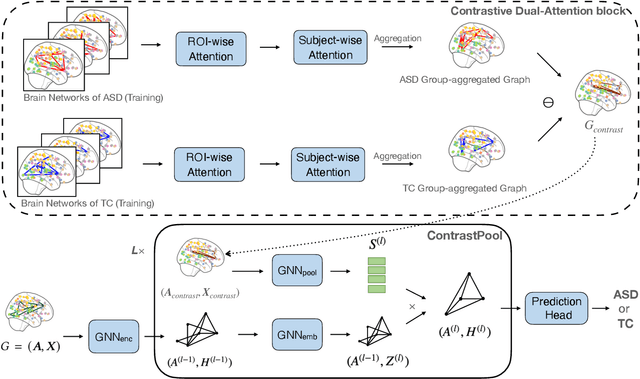 Figure 1 for Contrastive Graph Pooling for Explainable Classification of Brain Networks