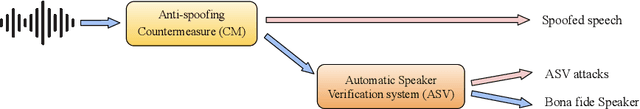 Figure 2 for Audio Anti-Spoofing Detection: A Survey