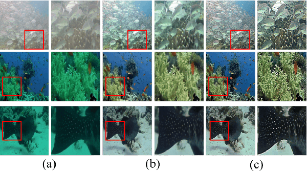 Figure 3 for JDPNet: A Network Based on Joint Degradation Processing for Underwater Image Enhancement