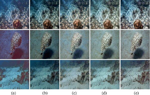 Figure 4 for JDPNet: A Network Based on Joint Degradation Processing for Underwater Image Enhancement