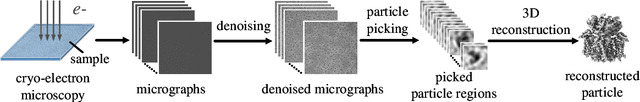 Figure 1 for CryoMAE: Few-Shot Cryo-EM Particle Picking with Masked Autoencoders