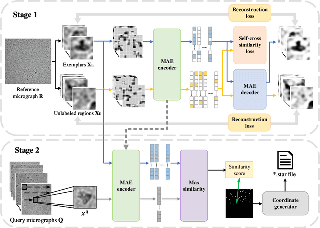 Figure 3 for CryoMAE: Few-Shot Cryo-EM Particle Picking with Masked Autoencoders