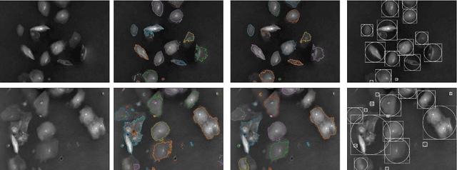 Figure 1 for Unsupervised high-throughput segmentation of cells and cell nuclei in quantitative phase images