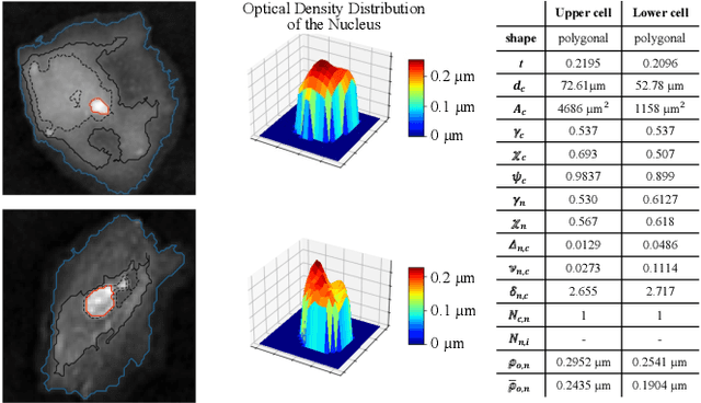 Figure 2 for Unsupervised high-throughput segmentation of cells and cell nuclei in quantitative phase images