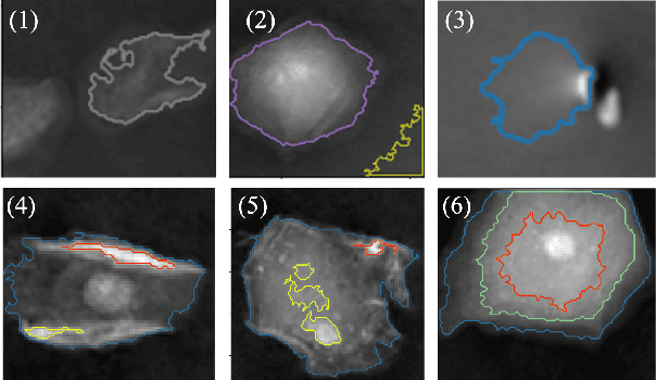 Figure 3 for Unsupervised high-throughput segmentation of cells and cell nuclei in quantitative phase images