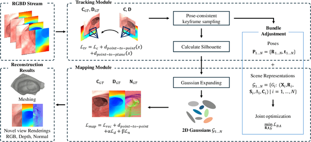 Figure 2 for Advancing Dense Endoscopic Reconstruction with Gaussian Splatting-driven Surface Normal-aware Tracking and Mapping