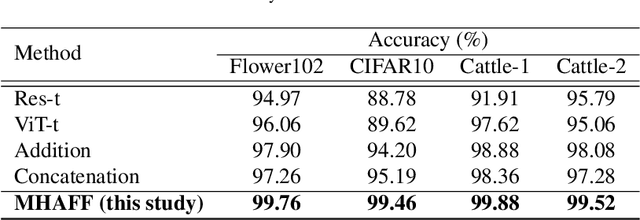 Figure 4 for MHAFF: Multi-Head Attention Feature Fusion of CNN and Transformer for Cattle Identification
