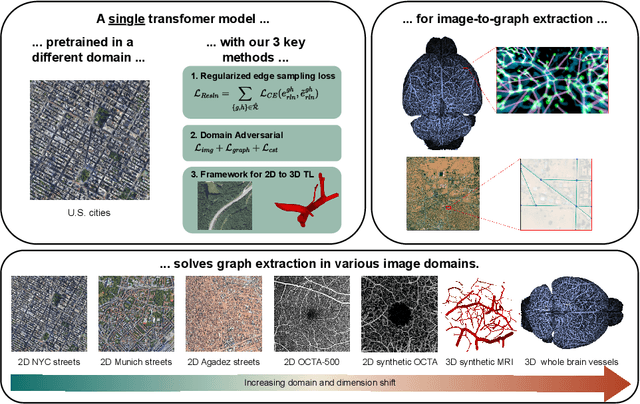 Figure 1 for Cross-domain and Cross-dimension Learning for Image-to-Graph Transformers