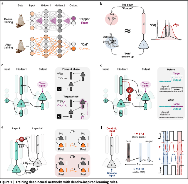 Figure 1 for Leveraging dendritic properties to advance machine learning and neuro-inspired computing