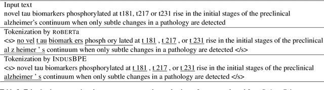 Figure 4 for INDUS: Effective and Efficient Language Models for Scientific Applications