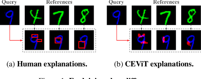 Figure 1 for Case-Enhanced Vision Transformer: Improving Explanations of Image Similarity with a ViT-based Similarity Metric