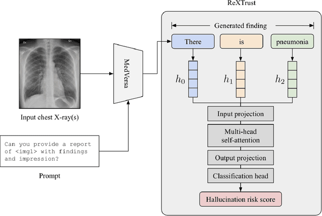 Figure 1 for ReXTrust: A Model for Fine-Grained Hallucination Detection in AI-Generated Radiology Reports
