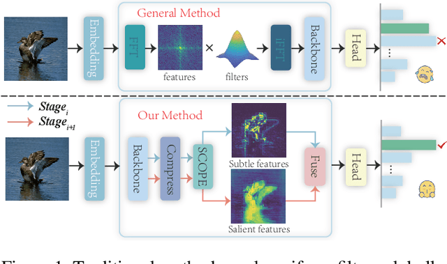 Figure 1 for Beyond Frequency: Seeing Subtle Cues Through the Lens of Spatial Decomposition for Fine-Grained Visual Classification