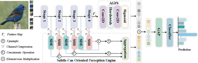 Figure 3 for Beyond Frequency: Seeing Subtle Cues Through the Lens of Spatial Decomposition for Fine-Grained Visual Classification