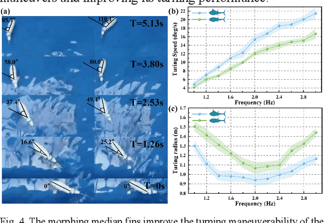 Figure 4 for Morphing median fin enhances untethered bionic robotic tuna's linear acceleration and turning maneuverability