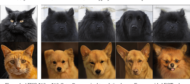 Figure 1 for Energy-guided Entropic Neural Optimal Transport