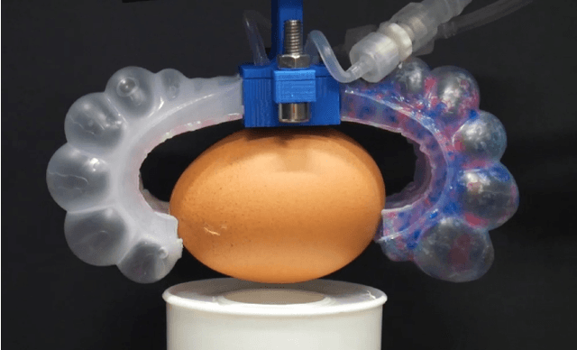 Figure 1 for Soft Gripping: Specifying for Trustworthiness