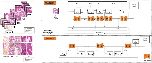 Figure 3 for Comparative Analysis of Diffusion Generative Models in Computational Pathology