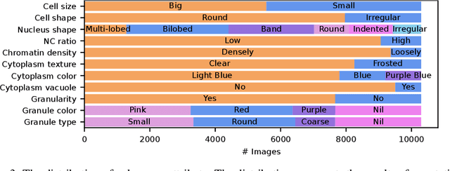 Figure 4 for WBCAtt: A White Blood Cell Dataset Annotated with Detailed Morphological Attributes