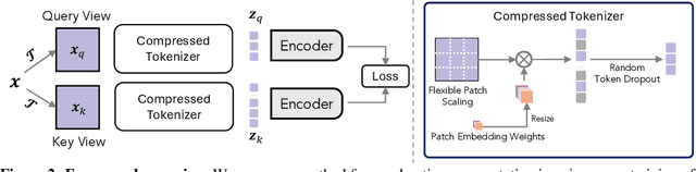 Figure 3 for Accelerating Augmentation Invariance Pretraining