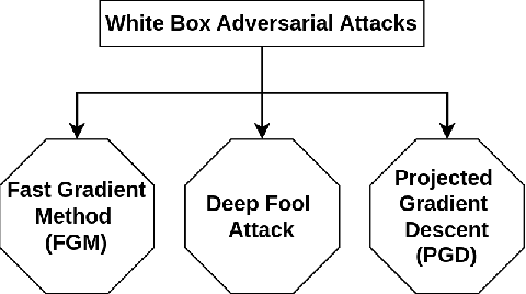 Figure 1 for Adversarial attacks on hybrid classical-quantum Deep Learning models for Histopathological Cancer Detection