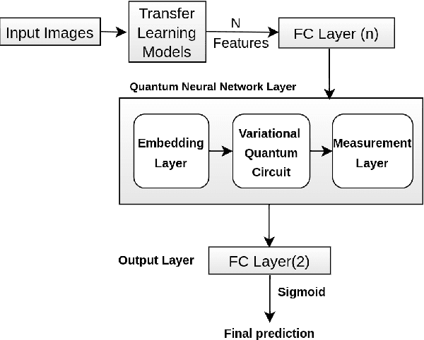 Figure 4 for Adversarial attacks on hybrid classical-quantum Deep Learning models for Histopathological Cancer Detection