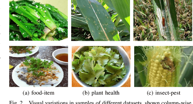 Figure 2 for RAFA-Net: Region Attention Network For Food Items And Agricultural Stress Recognition