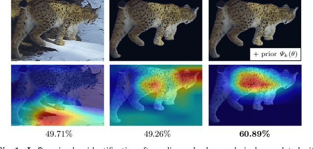 Figure 1 for Animal Identification with Independent Foreground and Background Modeling
