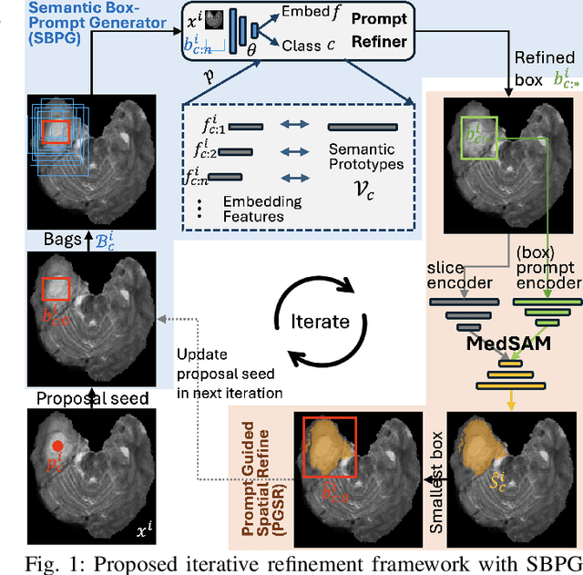 Figure 1 for Point-supervised Brain Tumor Segmentation with Box-prompted MedSAM