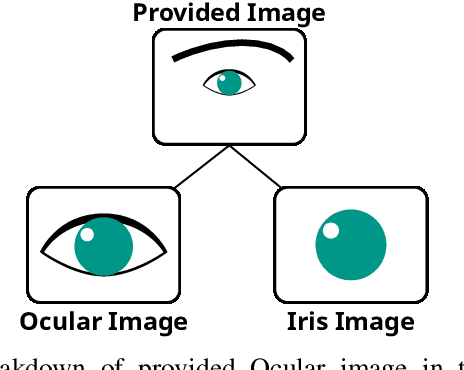 Figure 1 for On Missing Scores in Evolving Multibiometric Systems