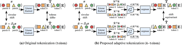 Figure 1 for Making Vision Transformers Truly Shift-Equivariant